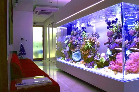 Элитные аквариумы на заказ у украинского производителя