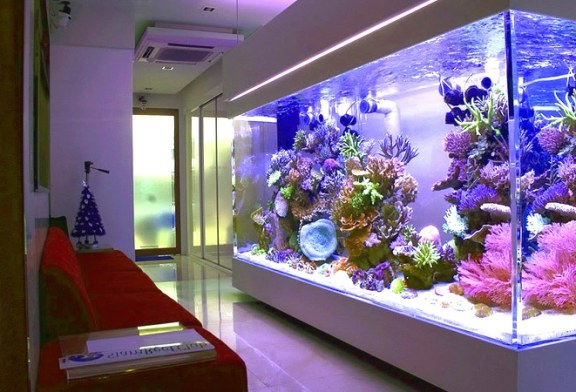 Элитные аквариумы на заказ у украинского производителя