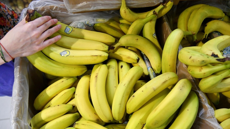 Производители бананов протестуют в Эквадоре из-за проблем с экспортом