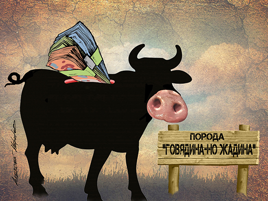 Российские животноводы взбунтовались против дешевой импортной говядины