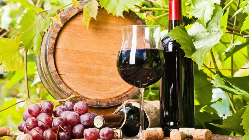 Меликов: дагестанское вино готово заменить иностранные бренды в России