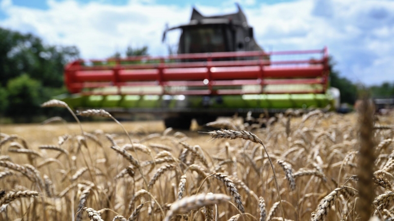 Экспорт российского зерна может достичь 37 миллионов тонн, заявили в МИД