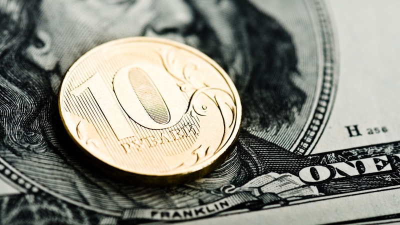 Эксперт предположил, как долго курс доллара продержится на текущем уровне
