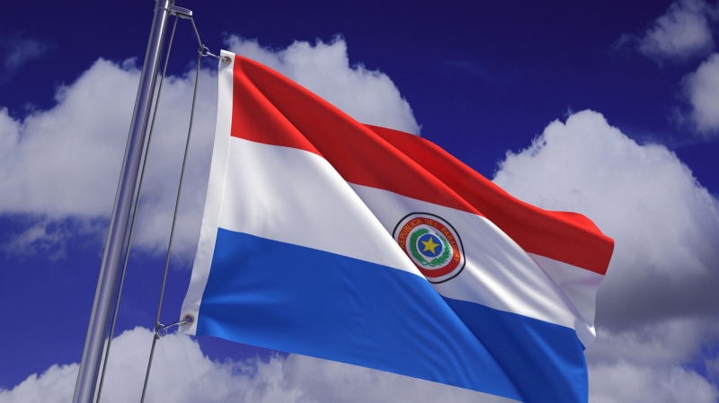 МИД Парагвая заявил о заинтересованности страны в торговле с Россией