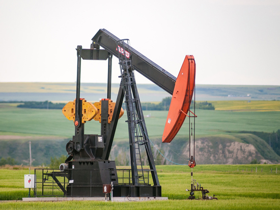 Нефтяные генералы ОПЕК+ лишили США дешевого бензина: какова роль России