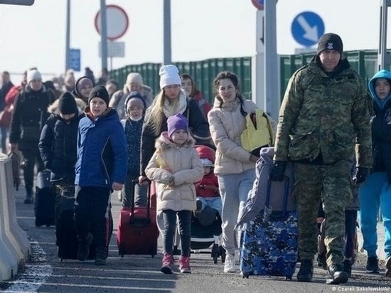 Названы главные проблемы с трудоустройством украинских беженцев в Европе