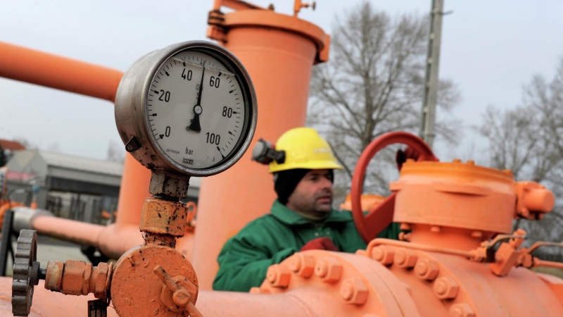 Германии хватит газа до осени в случае прекращения поставок из России