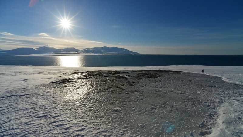 В Арктике реализуются более 460 проектов с господдержкой