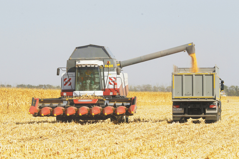 Сбор зерновых в России обложили жуткой бюрократией: урожай под угрозой