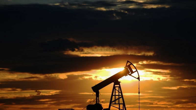 Россия не будет поставлять нефть себе в убыток, заявил Новак