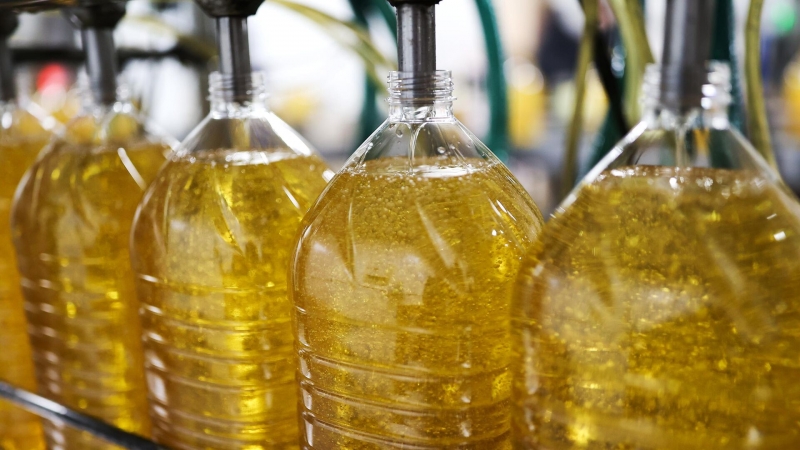 Правительство увеличило квоты на экспорт подсолнечного масла и жмыха