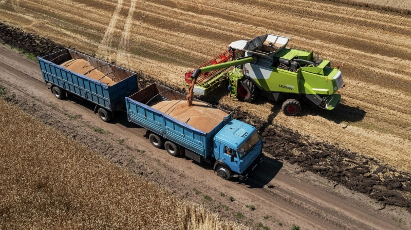 Во время уборочной кампании в России собрали почти 5,5 миллиона тонн зерна