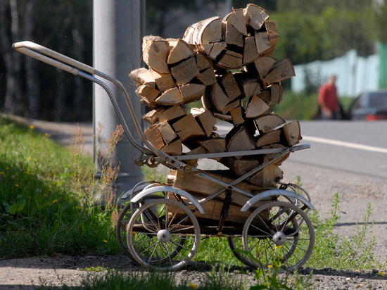 В Молдавии запретили перевозить дрова ночью из-за энергокризиса