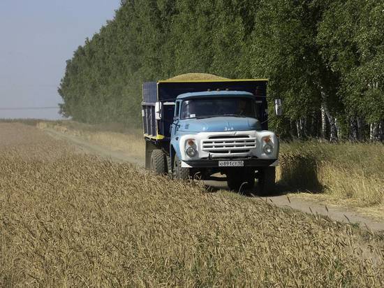 Мрачные прогнозы по поводу урожая российского зерна спровоцировали неудобные вопросы