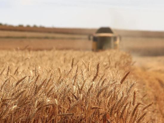 В Зерновом союзе объяснили резкое падение экспорта зерна из России
