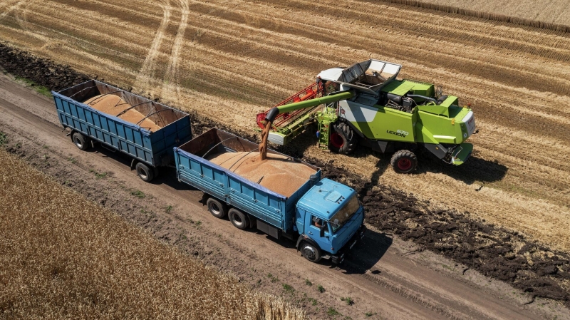 Препятствий для вывоза российского зерна нет, заявил Чавушоглу