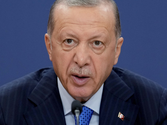 Выяснилась роль Эрдогана в пересмотре «зерновой сделки»