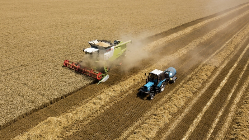 Эксперт: антироссийские санкции приведут к снижению урожайности в Европе