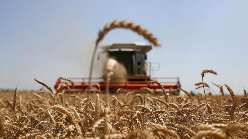Путин и Лукашенко обсудили поставки удобрений на мировые рынки